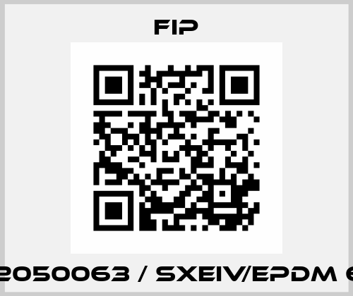121362050063 / SXEIV/EPDM 63mm Fip