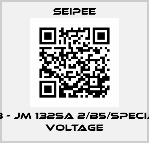 IE3 - JM 132SA 2/B5/special voltage SEIPEE