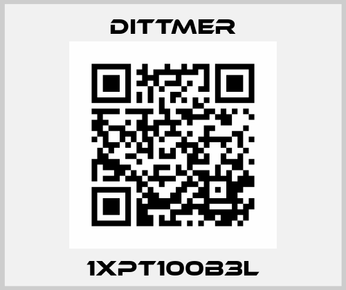 1xPT100B3L Dittmer