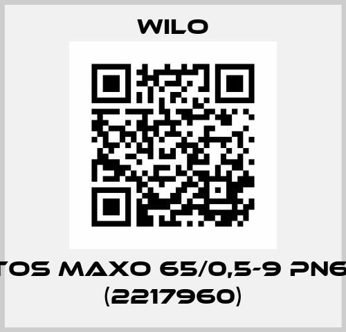 Stratos MAXO 65/0,5-9 PN6/10-R7 (2217960) Wilo