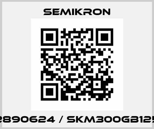 22890624 / SKM300GB125D Semikron
