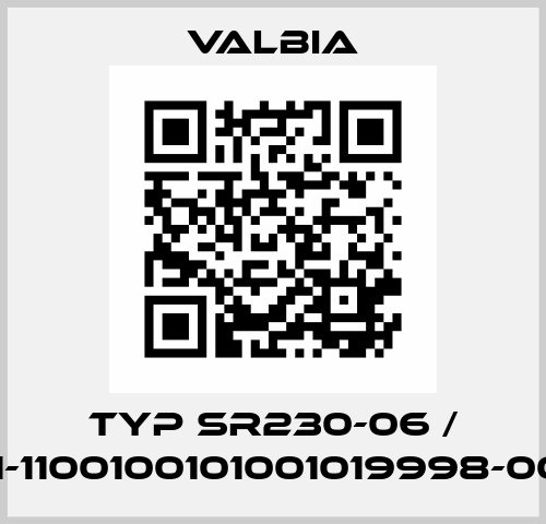 Typ SR230-06 / 3730-1-1100100101001019998-00-0100 Valbia