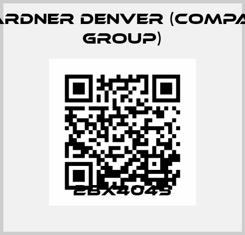 2BX4045 Gardner Denver (Compair Group)