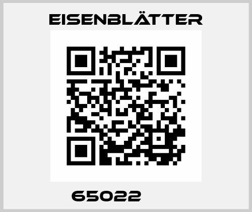65022        Eisenblätter