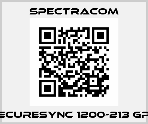 SecureSync 1200-213 GPS SPECTRACOM