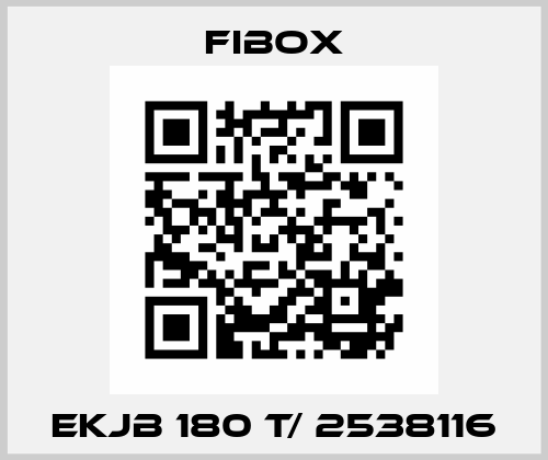 EKJB 180 T/ 2538116 Fibox