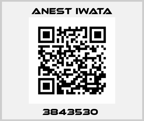 3843530  Anest Iwata