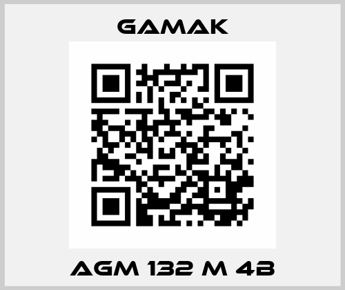 AGM 132 M 4b Gamak