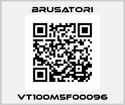 VT100M5F00096 Brusatori