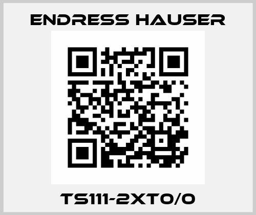 TS111-2XT0/0 Endress Hauser