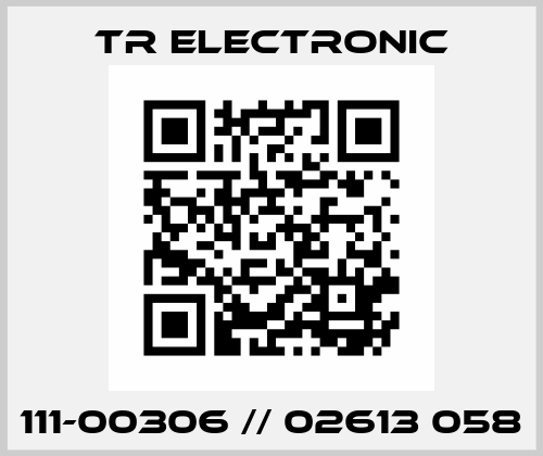 111-00306 // 02613 058 TR Electronic