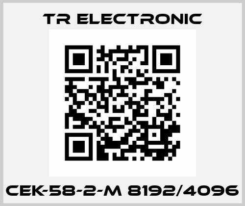 CEK-58-2-M 8192/4096 TR Electronic