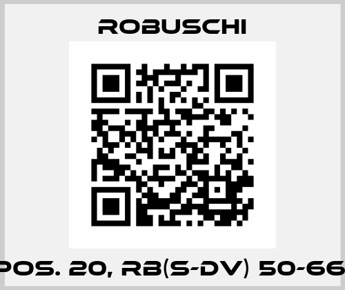 Pos. 20, RB(S-DV) 50-66  Robuschi