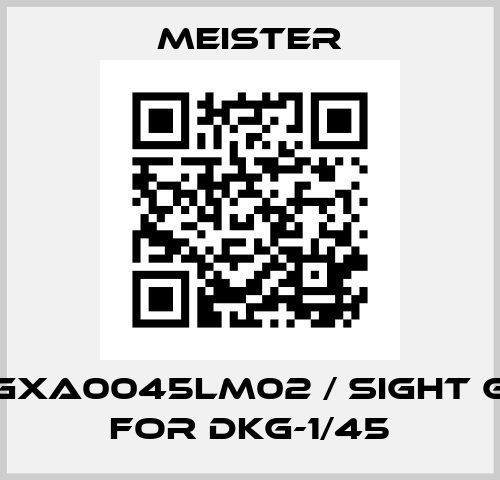 GG40GXA0045LM02 / Sight glass for DKG-1/45 Meister