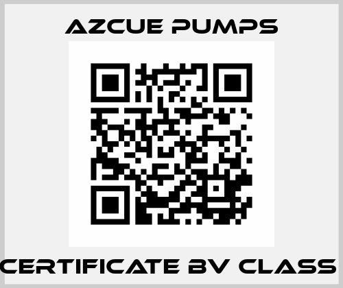 Certificate BV class  Bombas Azcue