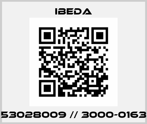 53028009 // 3000-0163 IBEDA