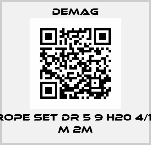 wire rope set DR 5 9 H20 4/1 - 44.3 m 2m Demag