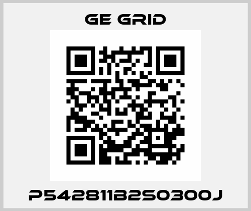 P542811B2S0300J Ge Grid