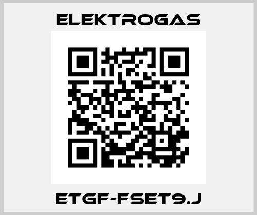 ETGF-FSET9.J Elektrogas