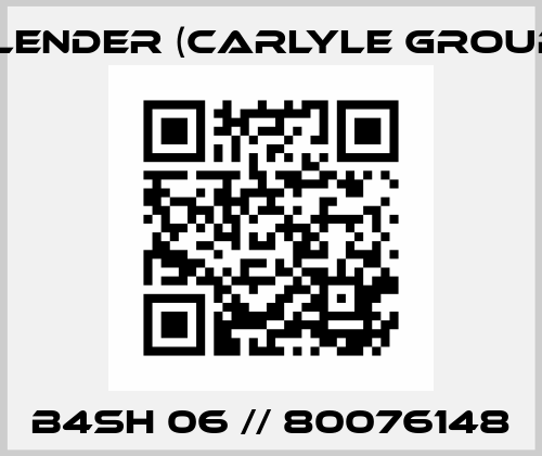 B4SH 06 // 80076148 Flender (Carlyle Group)