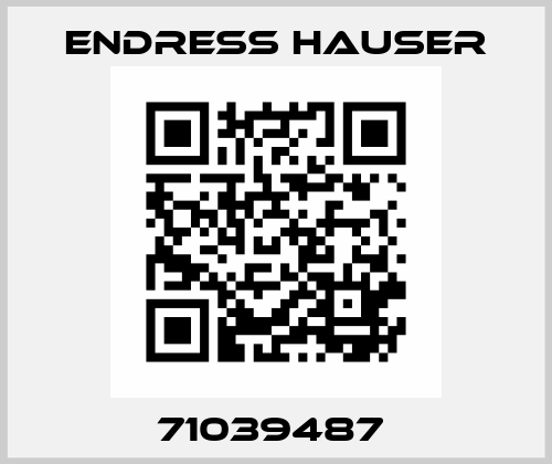 71039487  Endress Hauser