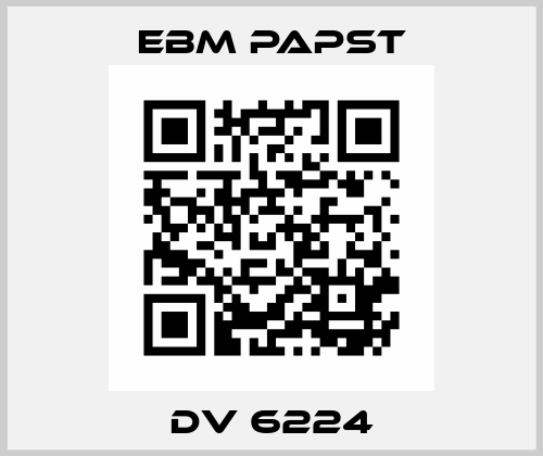 DV 6224 EBM Papst