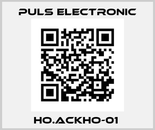 HO.ACKHO-01  Puls Electronic