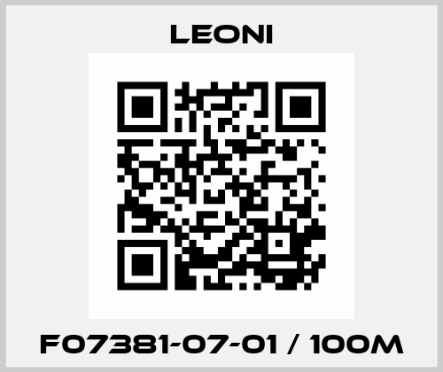 F07381-07-01 / 100m Leoni