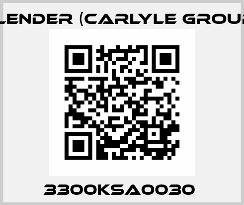 3300KSA0030  Flender (Carlyle Group)