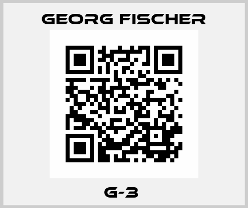 G-3  Georg Fischer
