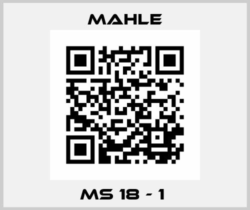 MS 18 - 1  Mahle