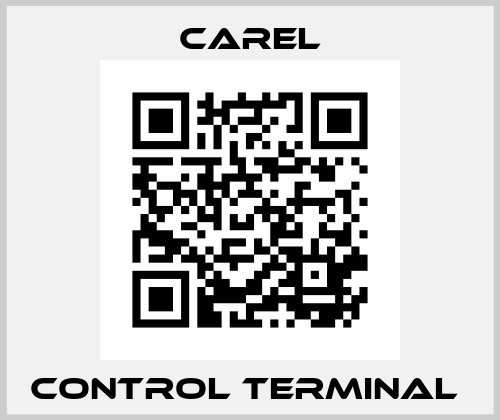 Control terminal  Carel
