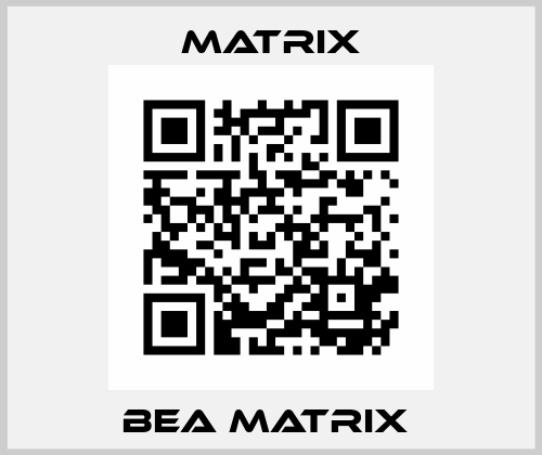 BEA MATRIX  Matrix