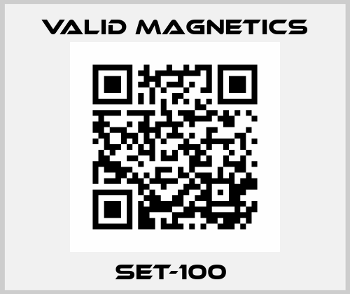 SET-100  Valid Magnetics