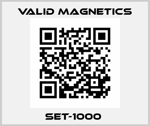 SET-1000  Valid Magnetics