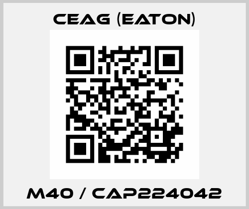 M40 / CAP224042 Ceag (Eaton)