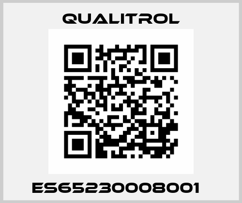 ES65230008001   Qualitrol