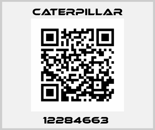 12284663  Caterpillar
