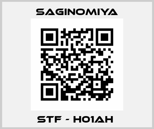 STF - H01AH  Saginomia