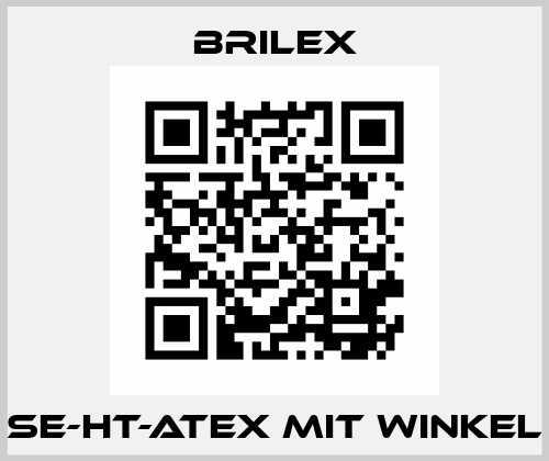 SE-HT-ATEX mit Winkel Brilex