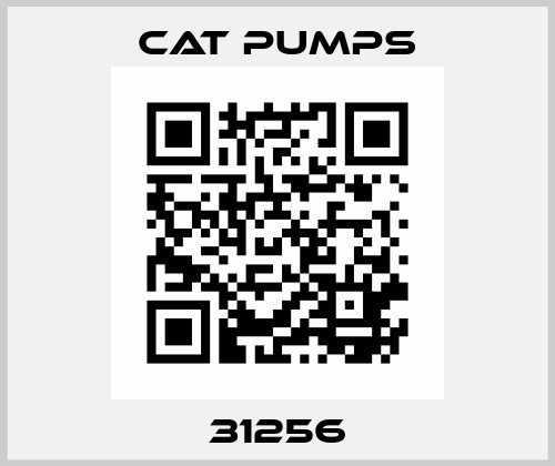 31256 Cat Pumps
