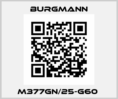 M377GN/25-G60  Burgmann