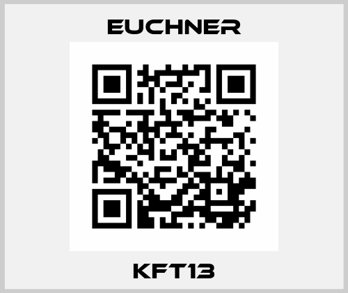 KFT13 Euchner