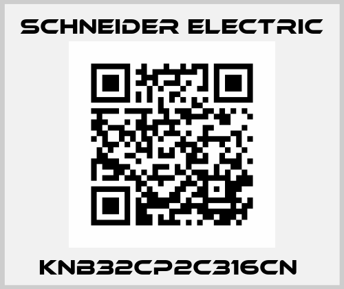 KNB32CP2C316CN  Schneider Electric