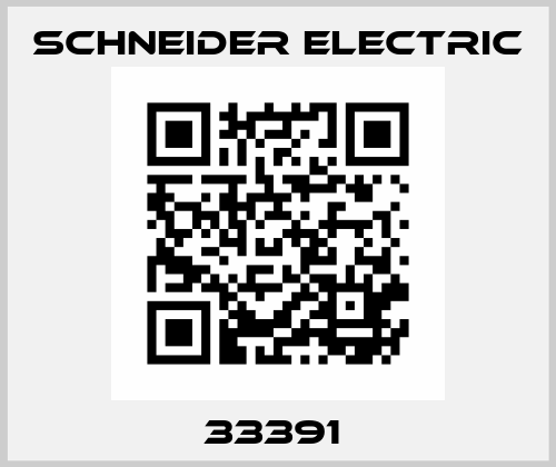 33391  Schneider Electric