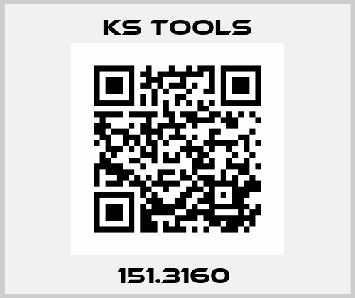 151.3160  KS TOOLS