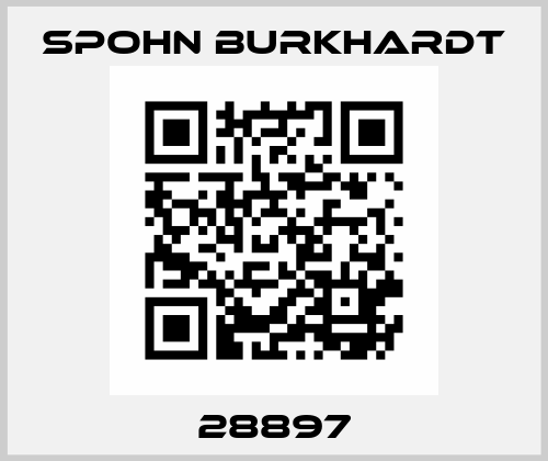 28897 Spohn Burkhardt